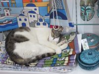 Wohlfühlen auf Souvenirs