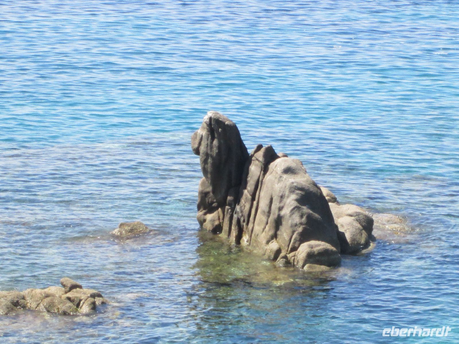 ein Kamel im Wasser ?