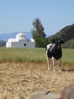 spontan wurde das Kirchlein 