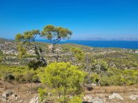 Insel Aegina - Ausbick vom Aphaia-Tempel