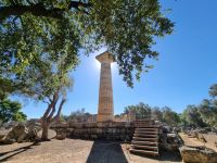 Olympia - Säule des Zeus-Tempels