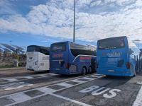 Eberhardt im Zentrum der italienischen Busse