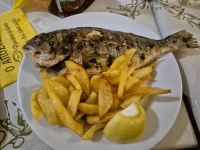 Paros: Abendessen in einer Fisch-Taverne: Dorade