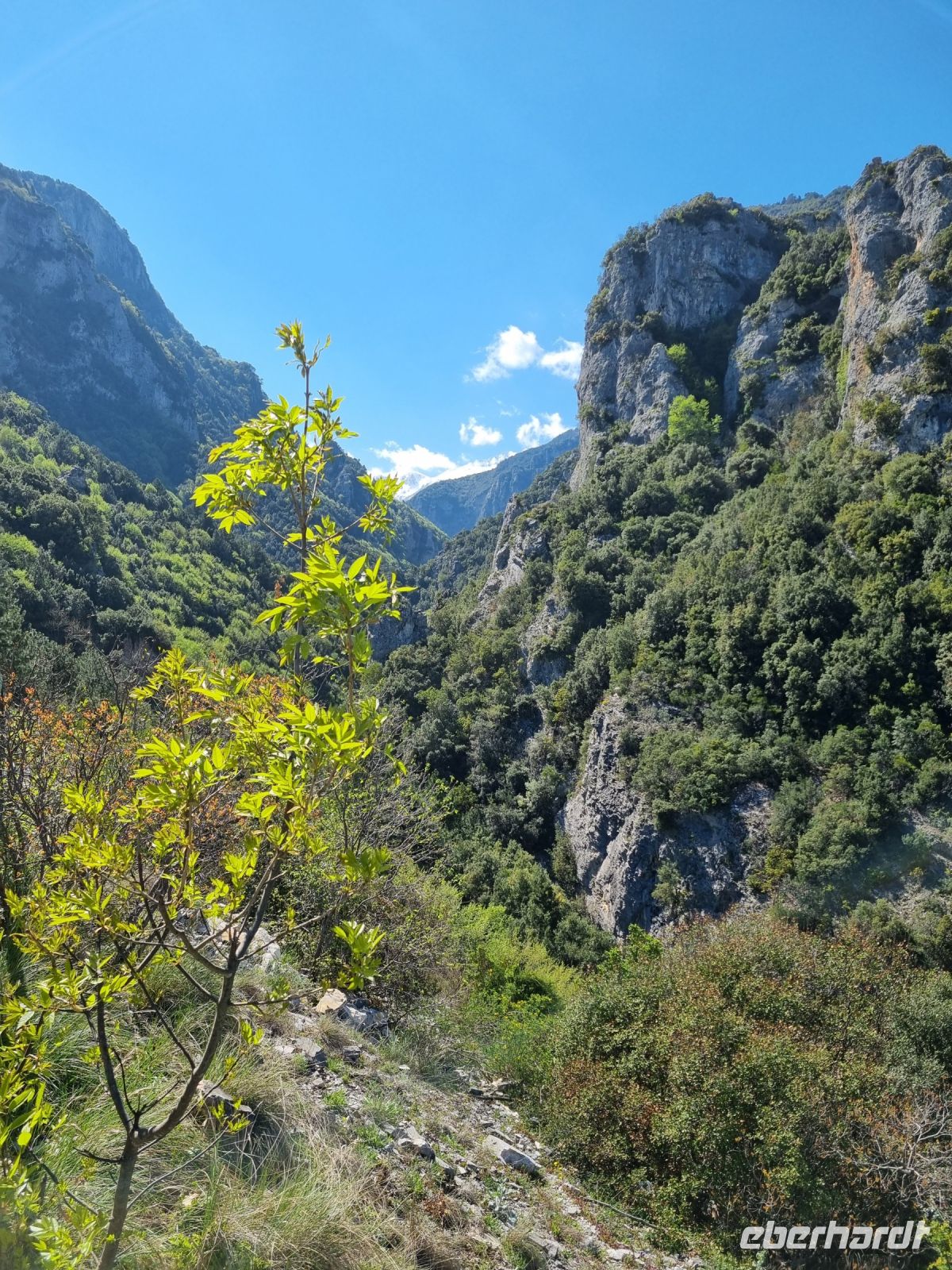 Wanderung am Fuße des Olymp - Litochoro (Enipeas-Schlucht)