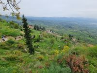 Mystras 