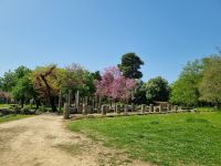 Olympia - Gymnasium (Gymnásion)