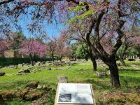 Olympia - Theokoleon (Haus der Priesterschaft)