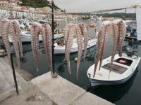 Gythion Peloponnes Bucht mit Calamaro