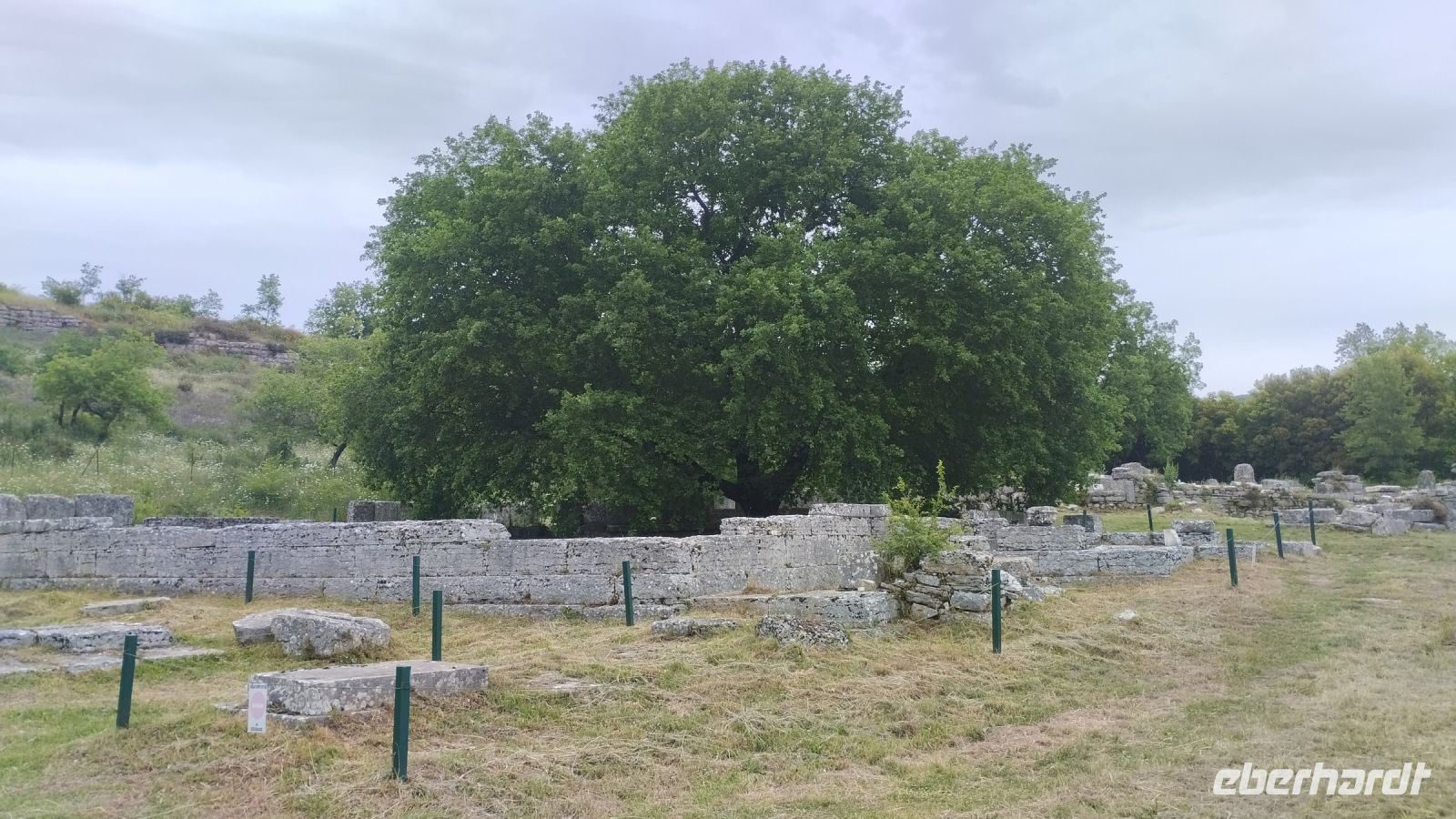 ebenda - hier stand einst der heilige Eichenbaum