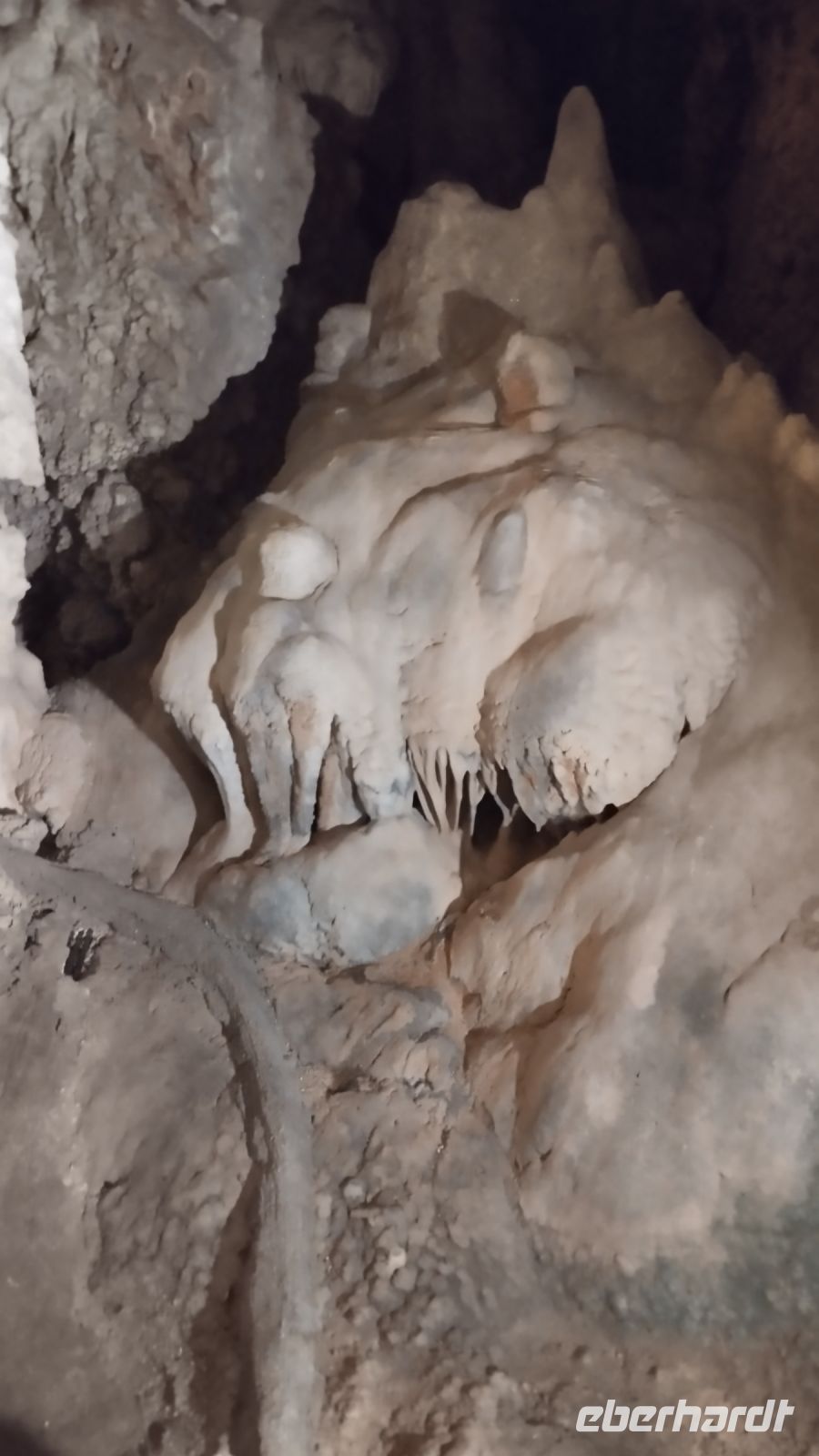 ...und seltsame Kreaturen