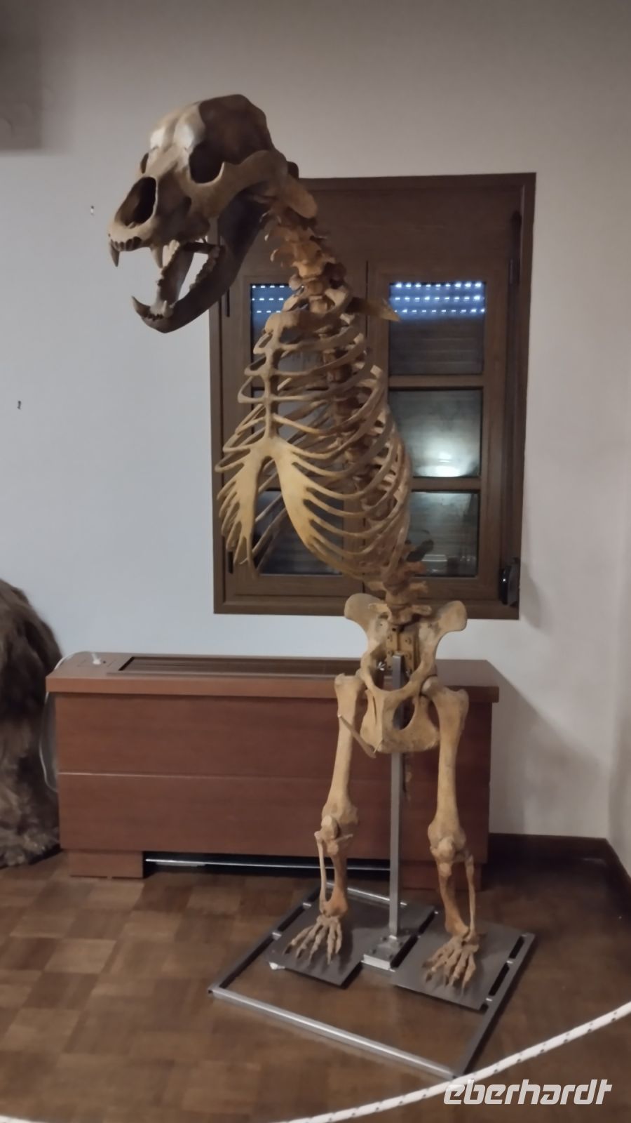 wurde in der Höhle gefunden