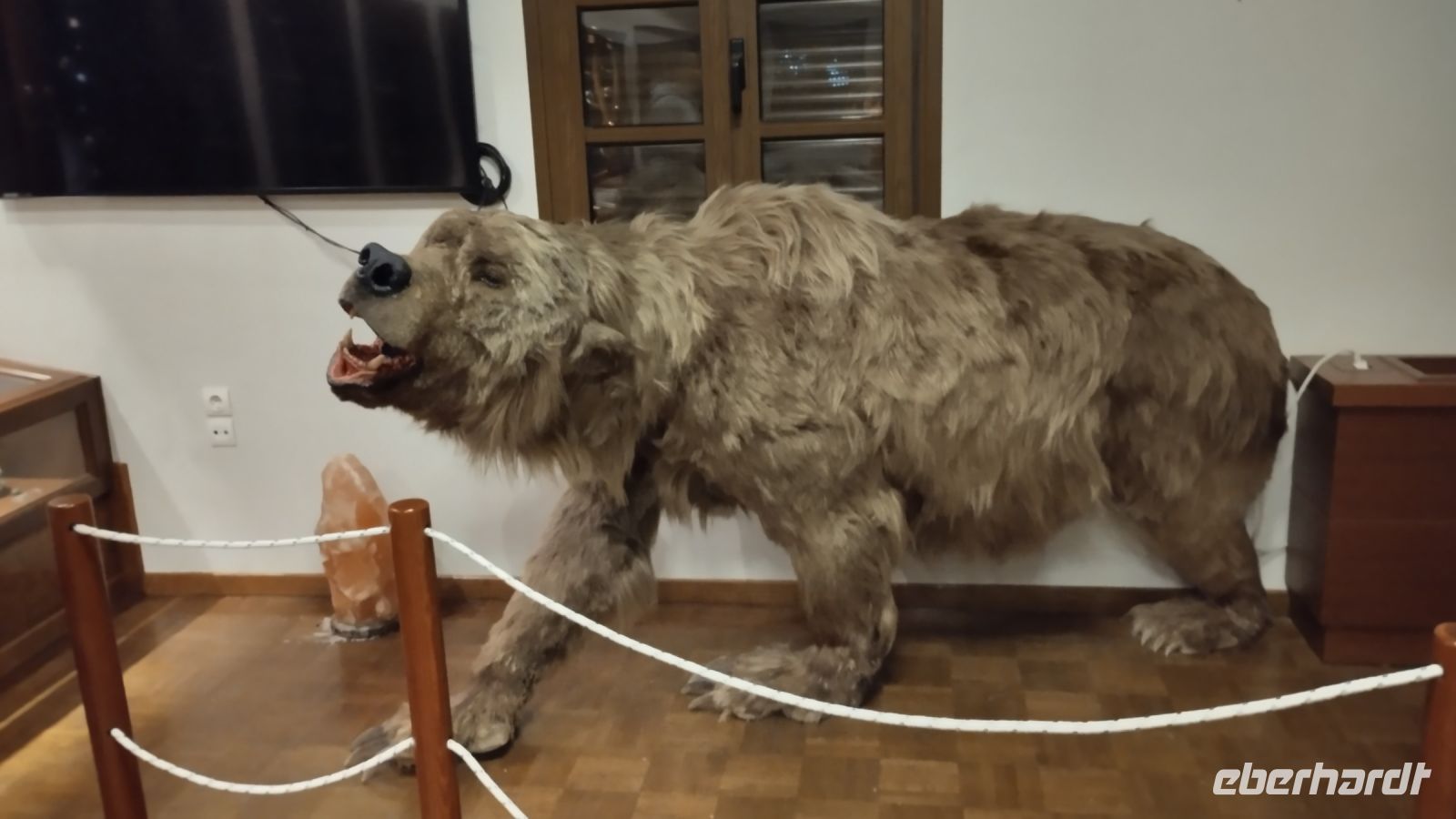 dem möchte ich nicht begegnen!