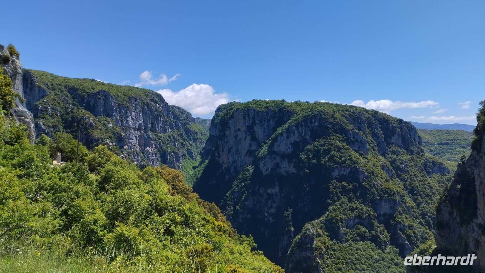 alles ist sehr grün