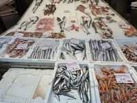 Thessaloniki (Kapani-Markt) &ndash; &copy; Katrin Deutschbein (Eberhardt TRAVEL)