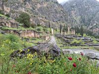 Delphi (Apollontempel) &ndash; &copy; Katrin Deutschbein (Eberhardt TRAVEL)