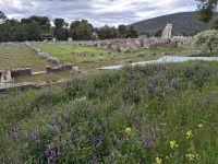 Epidauros &ndash; &copy; Katrin Deutschbein (Eberhardt TRAVEL)