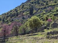 Mystras (Kloster Pantanassa) &ndash; &copy; Katrin Deutschbein (Eberhardt TRAVEL)