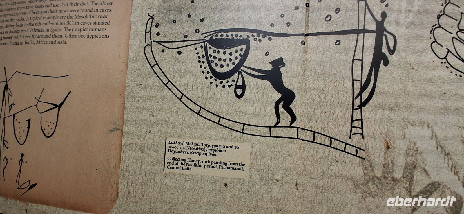 Honigmuseum Axion Esti &ndash; &copy;  (Eberhardt TRAVEL)