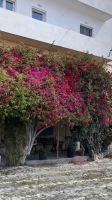 Kykladen, Santorini, Erkundung von Emporio &ndash; &copy; Sabine C. Seifert (Eberhardt TRAVEL)