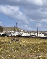 Kykladen, Santorini, übers Land &ndash; &copy; Sabine C. Seifert (Eberhardt TRAVEL)