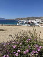 Kykladen, Mykonos &ndash; &copy; Sabine C. Seifert (Eberhardt TRAVEL)