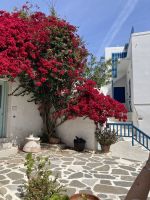 Kykladen, Paros, Stadtbummel &ndash; &copy; Sabine C. Seifert (Eberhardt TRAVEL)