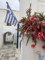 Kykladen, Paros, Bergdorf Lefkes &ndash; &copy; Sabine C. Seifert (Eberhardt TRAVEL)