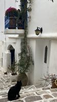 Kykladen, Paros, Bergdorf Lefkes &ndash; &copy; Sabine C. Seifert (Eberhardt TRAVEL)
