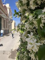 Griechenland, Athen, Stadtrundgang &ndash; &copy; Sabine C. Seifert (Eberhardt TRAVEL)