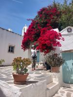 Kykladen, Paros, RBLin Sabine &ndash; &copy; Sabine C. Seifert (Eberhardt TRAVEL)