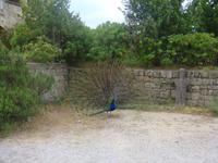 Ausflug Filerimos &ndash; &copy; Astrid Janke (Eberhardt TRAVEL)