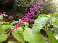 und hier habe ich den Namen leider wieder vergessen, aber es macht ganz rote Hände