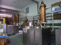 des traditionellen Familienunternehmens Yanni