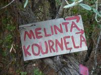 und hier wollen wir hin