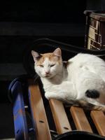 Bergdörfchen Asomatos