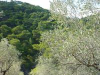 auf dem Weg zum Aquädukt