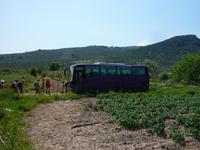 unser lila farbene Reisebus