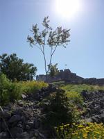 die Burgruine von Molivos