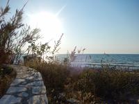 In der Nähe von unserem Hotel