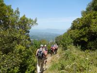 Rückweg nach Agios Deka