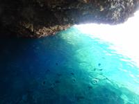 Kristallklares Wasser mit Fischen