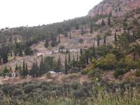 Blick auf den hl. Bezirk in Delphi