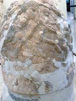 Museum in Delphi - Nabel der Welt