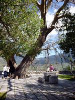 Kloster Ossios Loukas