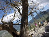 Kloster Ossios Loukas