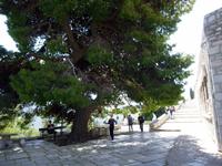 Kloster Ossios Loukas