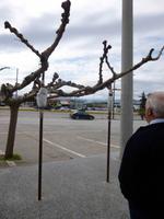 Am Kanal von Korinth - Baumstützen