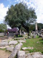 Olympia Ausgrabung - Apollontempel