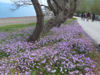 Lesbos, Nordküstenwanderung