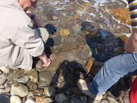 Lesbos, Nordküstenwanderung, heiße Quellen im Meer